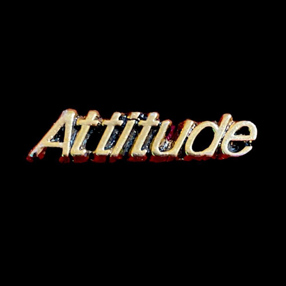 Attitude Pin  